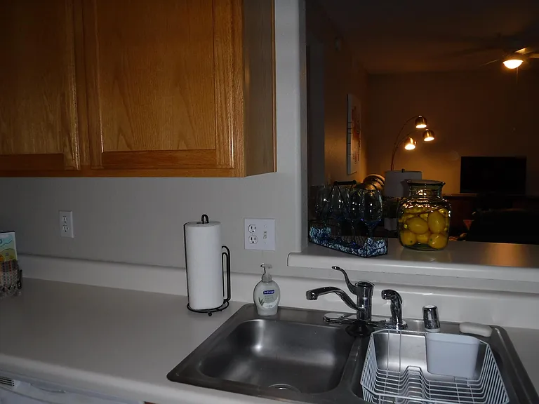 Looking out the kitchen