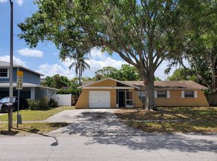 14532 Knoll Ridge Dr, Tampa, FL 33625