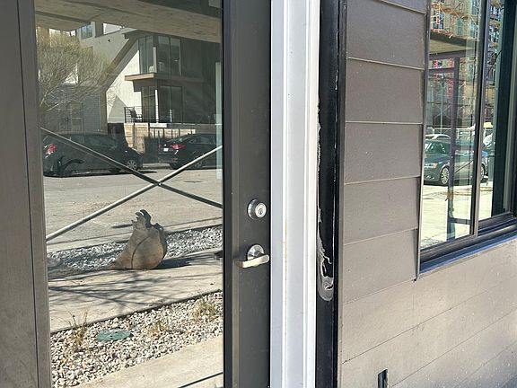 3rd image of 950 S Washington St #2