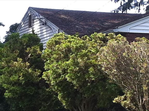 2nd image of 4 Tasman Ln