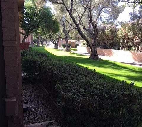 View from your patio