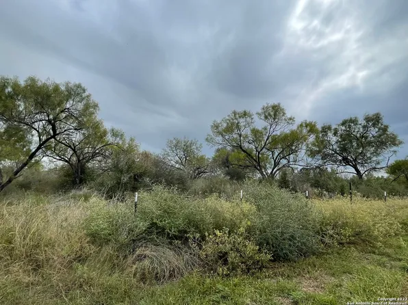 109 CR 2644 LOT 5, Moore, TX 78057