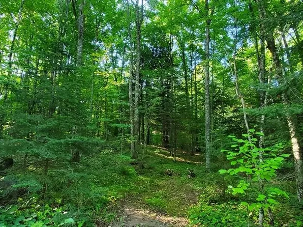 N Rollingstone Lake Rd, Pearson, WI 54462