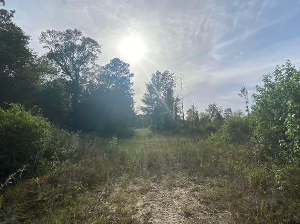 White Oak Rd, Big Sandy, TX 75755
