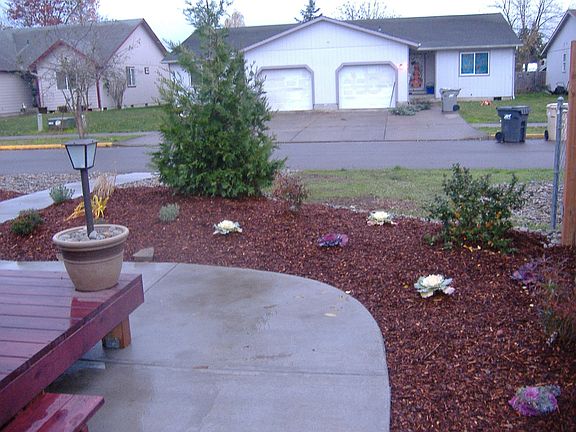 View SW from side yard