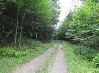 621 Lower James Rd, Salisbury Center, NY 13454