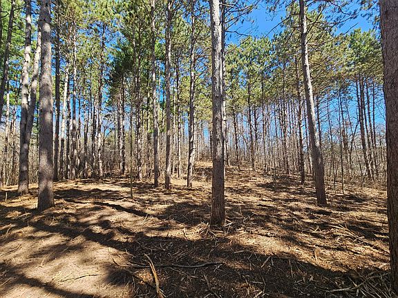 5th image of LOT 8 County Road C