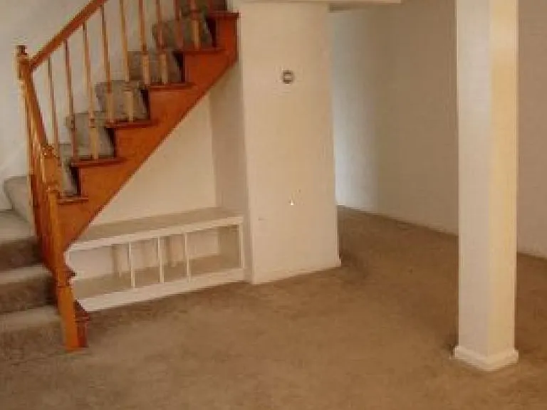 3313 Old Forest Rd — Photo 5