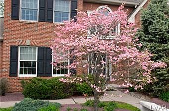 3rd image of 3905 Redwood Dr