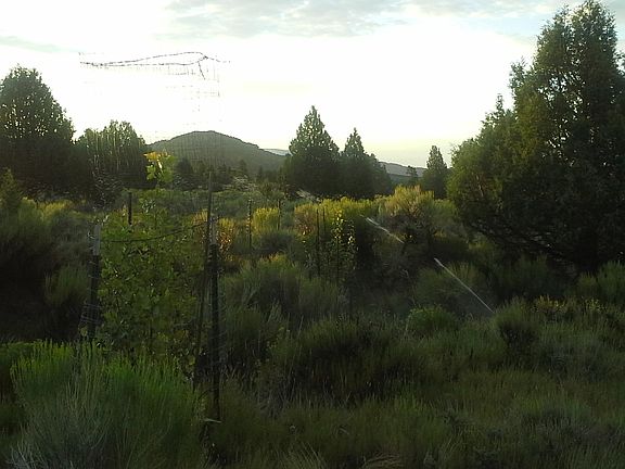 5th image of Toms Best Spring Rd