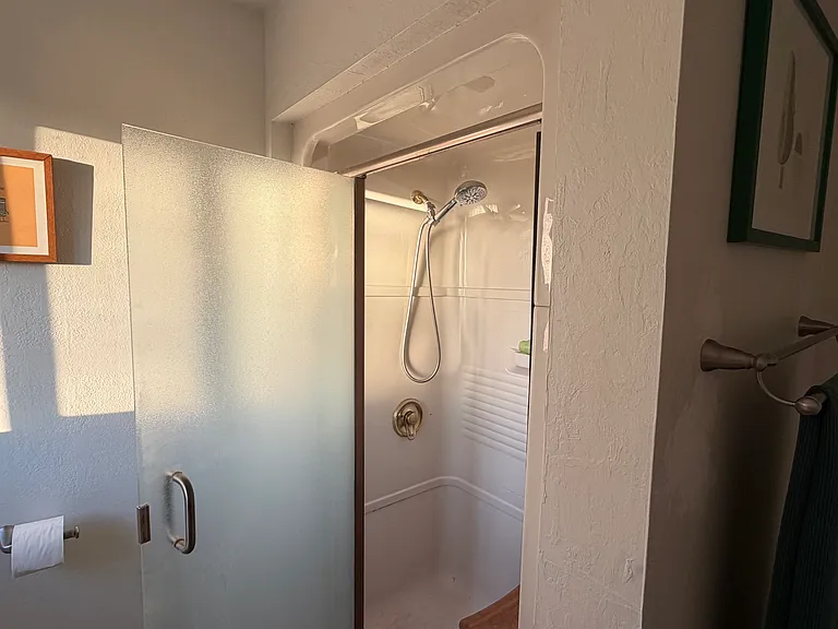 Master Bath Walk In Shower