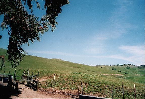 Lime Ridge