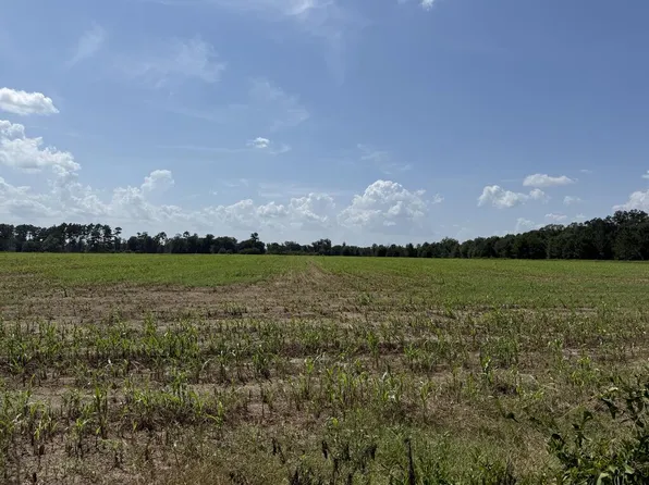 000-1150 Day Rd, Brinson, GA 39825
