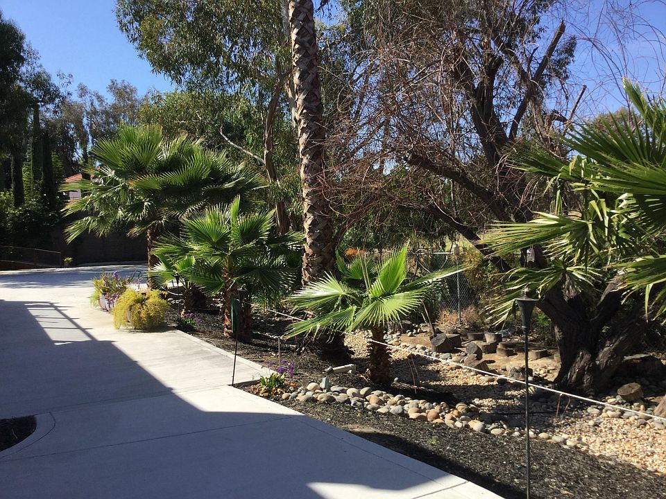 Your view from patio doors.