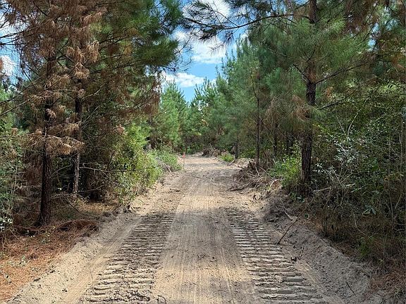 4th image of 1 Bracewell Cemetary Rd