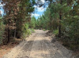 2 Bracewell Cemetary Rd, Livingston, TX 77351