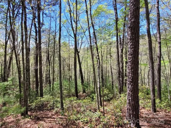 LOT 21 Little Fox Run, Marion, NC 28752