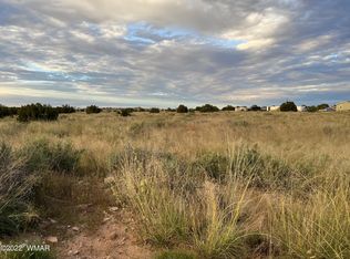 Runway Dr, Snowflake, AZ 85937