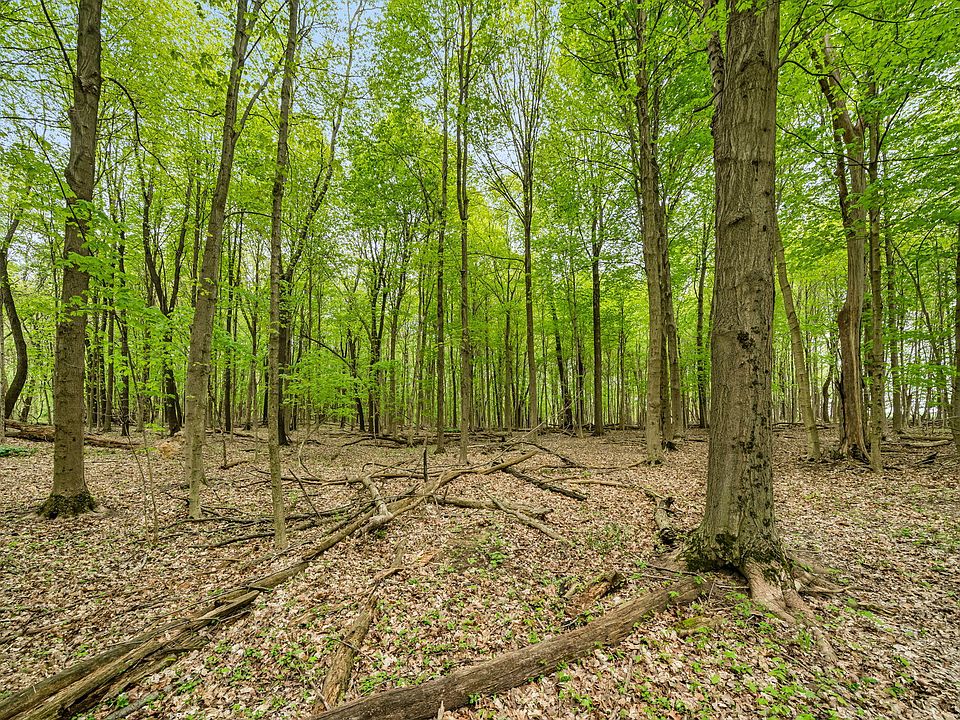 18731 Williamsville St, Cassopolis, MI 49031 MLS 24021929 Zillow