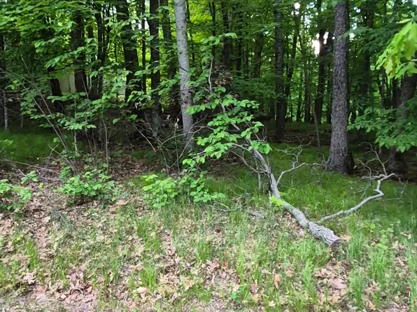 LOT 353 195th Pl, McGregor, MN 55760