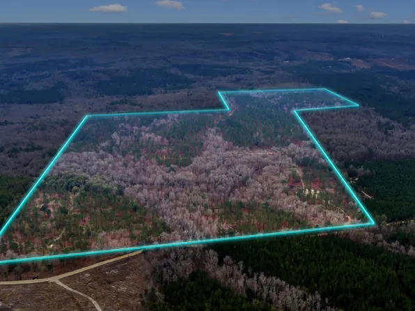 Truslow South Durham Mill Rd, Jeffersonville, GA 31044