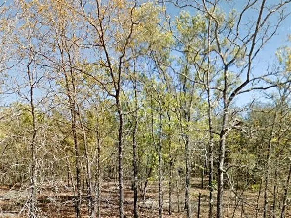 6783 S Kirk Point Lot P0, Lecanto, FL 34461