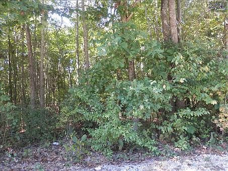 2nd image of Boyds Pl