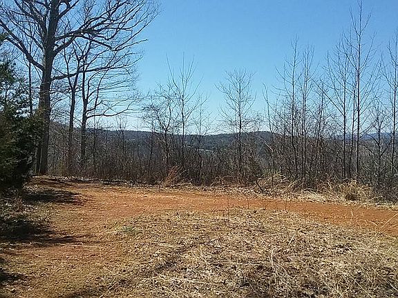 3rd image of Park Dr