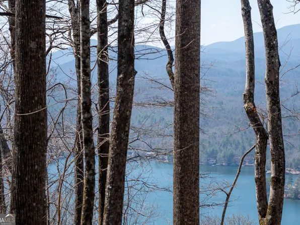 11 Rainwater Trl, Tiger, GA 30576