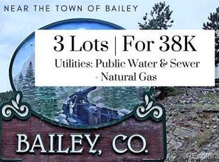214 Virginia Rd, Bailey, CO 80421