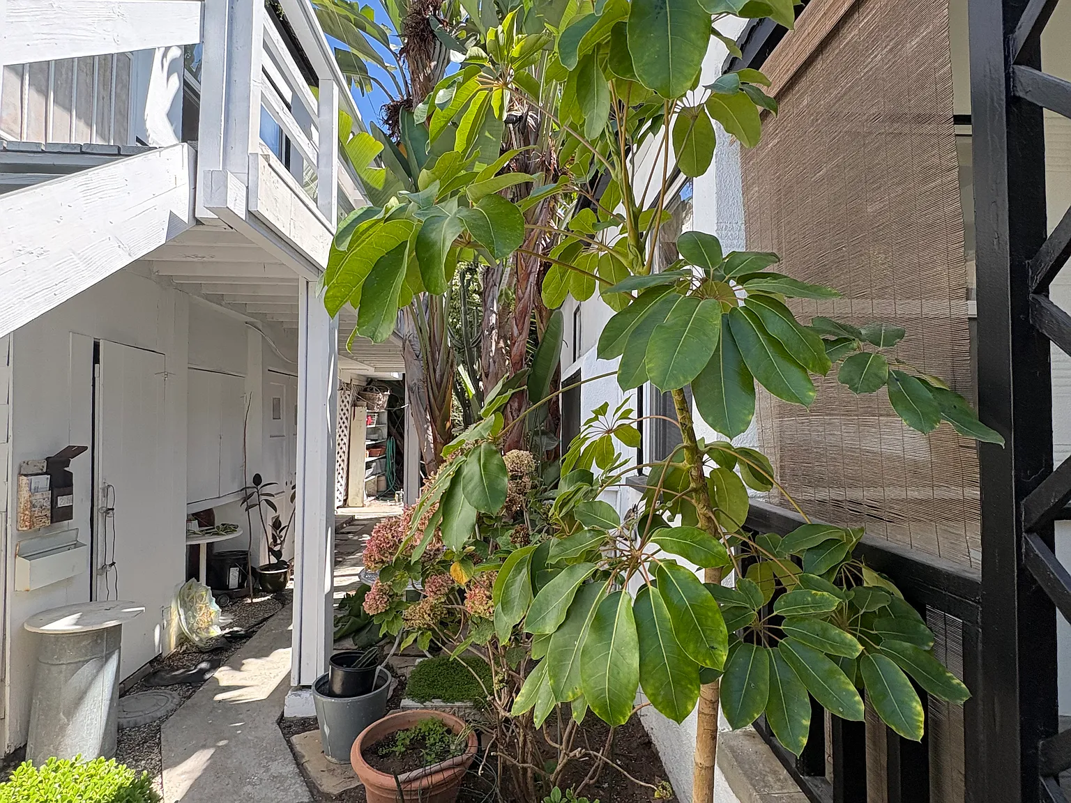 1 bed, 800 sqft, $3,300 — Photo 3