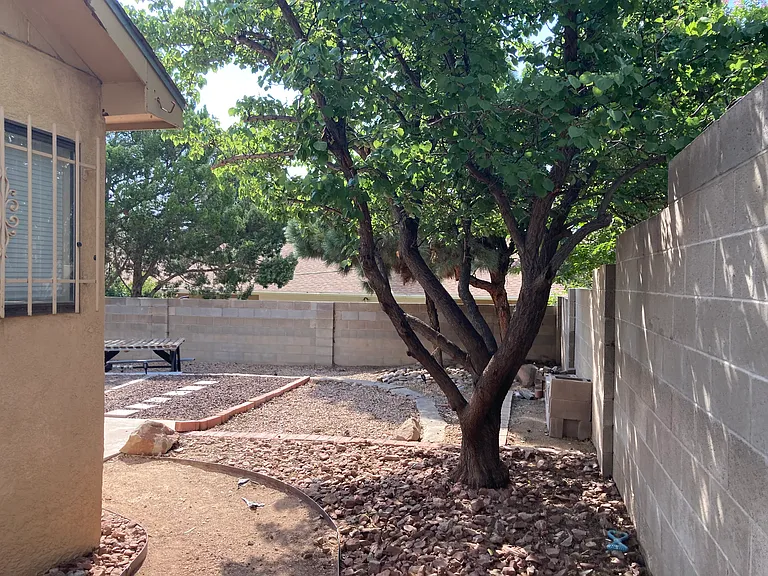 5501 Vista Sandia NE — Photo 13