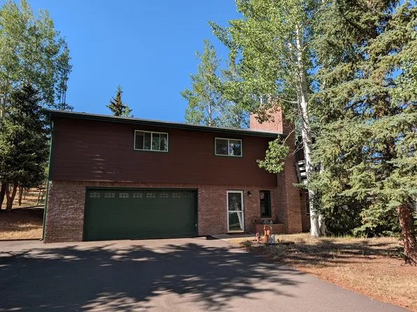 200 Comanche Trl, Woodland Park, CO 80863