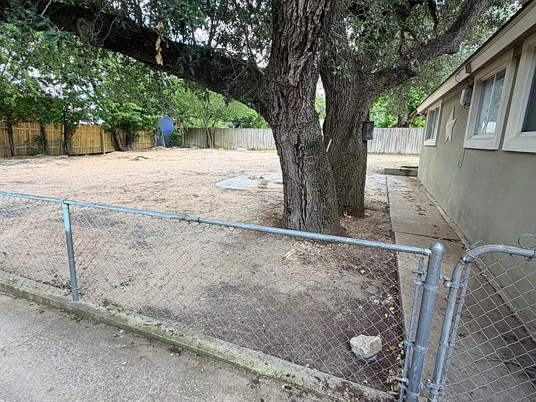back yard