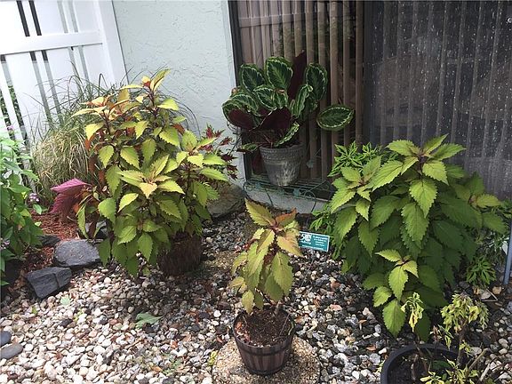 3rd image of 3907 Carambola Cir N #29122