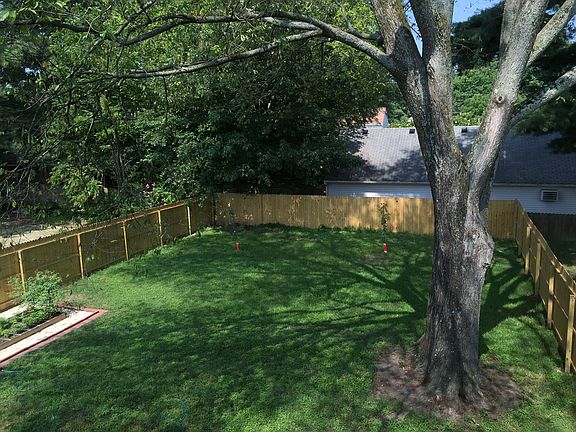 Large Elm shade tree