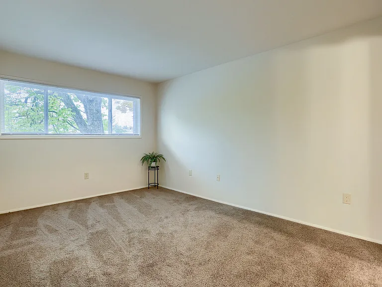 1 Bedroom Standard Apt Bedroom