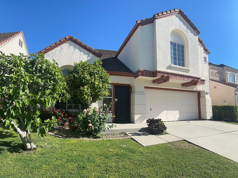 Front of the house with fig tree