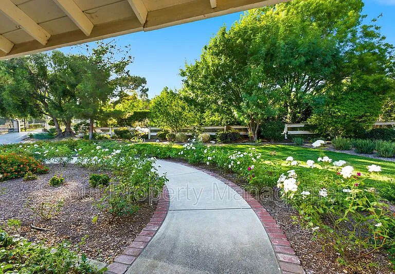 30605 De Portola Rd — Photo 46