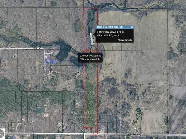 0 Ora Lake Rd, Hale, MI 48739