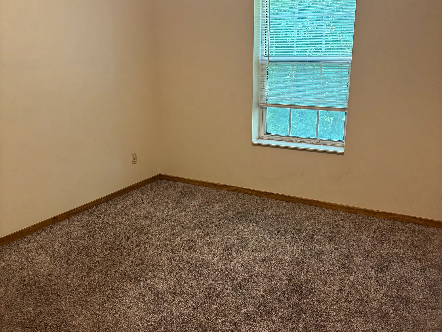 1 bed, $995 — Photo 3
