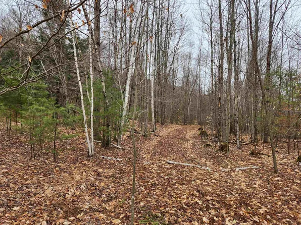 0 Thrasher Road, Claremont, NH 03743