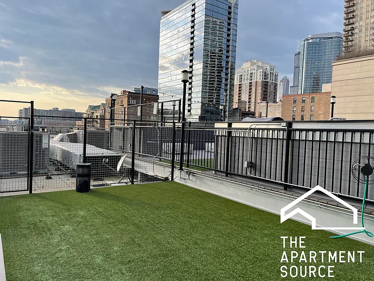 1212 S Michigan Ave #1703 — Photo 14