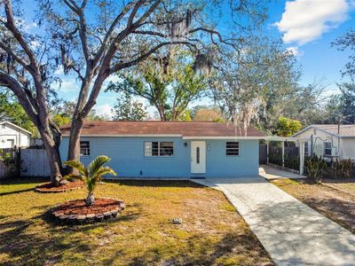 10711 N Connechusett Rd, Tampa, FL, 33617