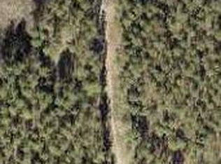 24 White Pond Rd TRACT 24, Williston, SC 29853