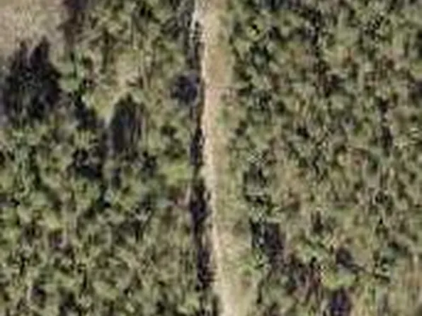 TRACT 24 White Pond Road, Williston, SC