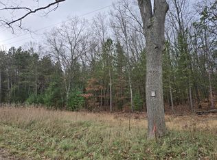 Vl N Felch Ave, White Cloud, MI 49349
