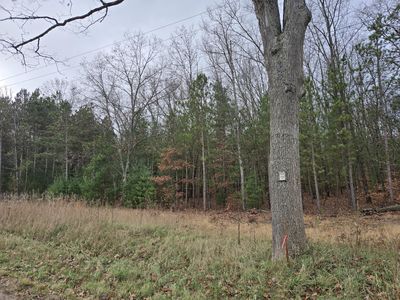 Vl N Felch Ave, White Cloud, MI, 49349