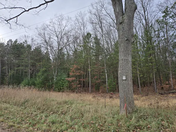 Vl N Felch Ave, White Cloud, MI 49349
