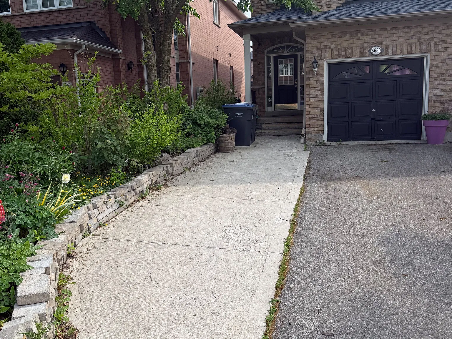 1 bed, $1,500 — Photo 2